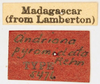 CollectionObject 1523093; 91b6c11a-ed19-404d-a43a-e9eedd9379af, ANSPType No. 5476: (CollectionObject).