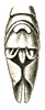 Eupatrides excelsus Brunner von Wattenwyl, 1898: Pl. XVIII, Fig. 33a. male abdomen tip, dorsal view. (Otu).