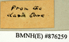 CollectionObject 1572880; affdbfe7-aef8-4a57-8d9c-5cf48d7b951b: Copyright Natural History Museum, London. Labels from non-type (adult male) in BM(NH). Underside. (CollectionObject).