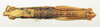 CollectionObject 1518366; cc765265-520e-4932-9988-9f68135f51cd: male, dorsal view (holotype). (CollectionObject).