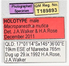 CollectionObject 1618728; 2e943558-3c09-48c9-a44e-d16c53eb1bd3: (CollectionObject).