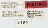 CollectionObject 1565521; e336fb92-ac6a-47e8-b76b-ed010845a70b, MLP3785': labels (paratype). (CollectionObject).