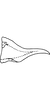 Pygofer appendages on Anufrievia cervena Dworakowska, 1977: Pygofer dorsal appendage. (Observation).