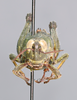 CollectionObject 2014607; 6a4db36e-0c58-46f4-8d18-9f75a2a1abe2: female frons. (CollectionObject).