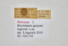 CollectionObject 1587986; 7210018a-9f4b-477e-ac10-694c04d742b4: labels. (CollectionObject).