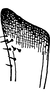 Stylus: !! display not done !! on Pediopsoides (Sispocnis) kogotensis (Matsumura, 1912): Stylus. (Observation).