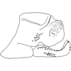 Pygofer, lateral view on Anufrievia subdentata Yang & Zhang, 2018: Pygofer, lateral view. (Observation).