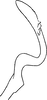 Stylus: !! display not done !! on Stroggylocephalus agrestis (Fallén, 1806): Stylus. (Observation).