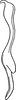 Stylus: Stylus. (Observation).