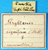 CollectionObject 1578130; b792f22b-b223-4917-91cf-0ee33312696c: labels. (CollectionObject).