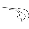 Pygofer, lateral view on Erythridula abolla (McAtee, 1920): Pygofer (holotype), lateral view. (Observation).