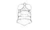 Dichroplus intermedius Ronderos, 1976: Fig. 2. male, head and pronotum, dorsal view. (Otu).