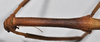 CollectionObject 1561672; NTUC 740, ef545296-ecab-4cdd-9e44-941d03968d60: copyright NTUC. female: thorax, dorsal view (holotype). (CollectionObject).