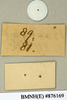 CollectionObject 1573061; NHMUK(SF IMPORT DUPLICATE) BMNH(E) 876170''''', 229e8301-7307-44e0-a113-a8c1ef63af78: Copyright Natural History Museum, London. Labels from syntype (female) in BM(NH). Underside. (CollectionObject).