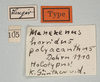 CollectionObject 1559794; db11afe5-2229-42b9-b083-ab3590fa3deb: copyright MIZ, Warsaw. female, data labels (holotype). (CollectionObject).