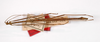 CollectionObject 1557726; 1c4d0e28-516e-496a-9f22-e4197dc63bb9: Copyright MNCN, Madrid. male, dorsal view (holotype). (CollectionObject).