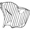 Pygofer, lateral view on Empoascanara (Empoascanara) nagpurensis (Distant, 1918): Pygofer, lateral view (Jamtara). (Observation).