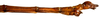 CollectionObject 1567615; 803e8e45-f31c-488d-ae30-c12de440af05: copyright Brussels. male: end of abdomen, lateral view (paratype). (CollectionObject).;CollectionObject 1567616; acf2328f-c402-441c-b28e-e7ca43a45d1d: copyright Brussels. male: end of abdomen, lateral view (paratype). (CollectionObject).;CollectionObject 1567617; 54e7e8da-4583-4543-a2f4-a88723df4de3: copyright Brussels. male: end of abdomen, lateral view (paratype). (CollectionObject).