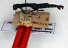 CollectionObject 1561021; NMW 128', da6a0f58-f257-4f52-949c-68d050fb7dd5: copyright NMW. male (paralectotype). (CollectionObject).