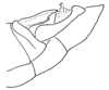 Aleuas lineatus Stål, 1878: Fig. 25A. male abdomen tip, lateral view. (Otu).