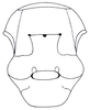 Atractomorpha acutipennis acutipennis (Guérin-Méneville, 1844): Fig. 29.4. female, meso- and metasternum. (Otu).