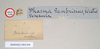 CollectionObject 1557508; 213d8a09-9f6c-4269-9e96-470aa795a70a: copyright Natural History Museum, London. male, data labels (holotype). (CollectionObject).