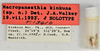 CollectionObject 1618722; 7ae1179e-1bf4-453c-88bf-89c6df053ef6: (CollectionObject).