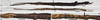 CollectionObject 1590620; bc9dbbde-b36a-4766-88ff-f0d88c672e76: from original publication. female (holotype), male (paratype). (CollectionObject).