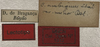CollectionObject 1536020; 1f073f3a-778d-4d8f-af69-cd31f77dfc5d: labels. (CollectionObject).