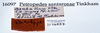 CollectionObject 1527102; 814e9713-87ad-4e5a-bb98-703880735bde: labels (holotype). (CollectionObject).