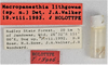 CollectionObject 1618725; 5855cada-d664-4078-bb3a-93b4b6b62cb4: (CollectionObject).