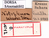 CollectionObject 1502320; 68040d9f-c0aa-4011-948b-4a648185bea4, DORSA SAnotsahS02: labels (syntype). (CollectionObject).