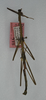 CollectionObject 1558530; 3ddfe0fa-4799-4b27-ab67-33daba2d42db: copyright ANSP. male (holotype). (CollectionObject).