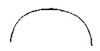Aleuas vitticollis Stål, 1878: Fig. 1B. transverse section of metazona. (Otu).
