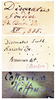 CollectionObject 1500339; 474ebcfc-33a3-410f-b1aa-2b6e9f439f63: labels. (CollectionObject).