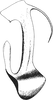 Aedeagus, lateral view on Arocephalus remanei Dlabola, 1971: Aedeagus, lateral view. (Observation).