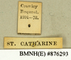 CollectionObject 1573028; e8a07bdf-9b99-471f-90da-62d8b79e2df5: Copyright Natural History Museum, London. Labels from non-type (adult female) in BM(NH). (CollectionObject).