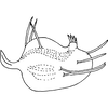 Subgenital plate, ventral view on Anuihuajianga pyramidalis Zhang & Song, 2022: (Observation).