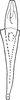 Aedeagus, ventral view: Aedeagus, ventral view. (Observation).