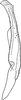 Stylus: !! display not done !! on Zygina (Zygina) rubrovittata (Lethierry, 1869): Stylus. (Observation).