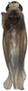 Habitus, dorsal view on Anufrievia triprocessa Yang & Zhang, 2018: Habitus. (Observation).