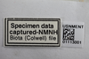 Other: !! display not done !! on Idioderma pictum Osborn, 1926: (Observation).
