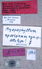 CollectionObject 1534721; 749d7da9-5053-4fe6-beab-5221844bc758: labels (allotype). (CollectionObject).