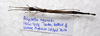 CollectionObject 1584540; df0211a8-d79c-42f5-92c6-9cfba3dfd808: (CollectionObject).