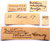 CollectionObject 2627945; CNMS 4677, CNMS 4677, 227de8a2-4f92-43ab-9fb1-280a6524d91e: label. male (paratype). (CollectionObject).