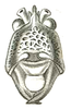 Eulobaspis ornata (Brunner von Wattenwyl, 1898): Pl. XX, Fig. 52a. face (probably male). (Otu).