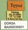 CollectionObject 1501455; cd799fb0-bc8f-4bc1-87cd-300a21cccb5d, DORSA BA000039S01: labels (holotype). (CollectionObject).
