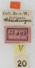 labels. Depicts CollectionObject 1566598; NMW 22693, e31ff3d7-7441-44ea-be78-99ed2e446e17, a CollectionObject.