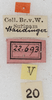 CollectionObject 1566598; NMW 22693, e31ff3d7-7441-44ea-be78-99ed2e446e17: labels. (CollectionObject).