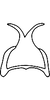Connective on Distantasca bulbosa (Dworakowska, 1994): Connective. (Observation).